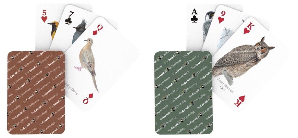 Cornell Birds Double Deck Playing Cards from New York Puzzle Company