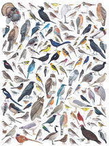 Birds of Western North America From New York Puzzle Company