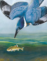 Belted Kingfisher Mini from New York Puzzle Company