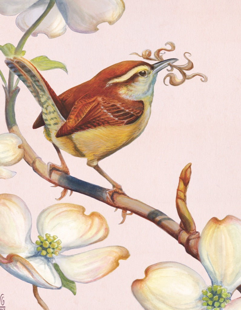 Carolina Wren Mini From New York Puzzle Company