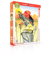 American Kestrel from New York Puzzle Company