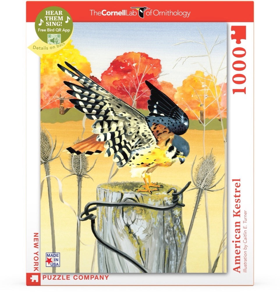 American Kestrel from New York Puzzle Company