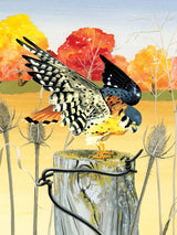 American Kestrel from New York Puzzle Company