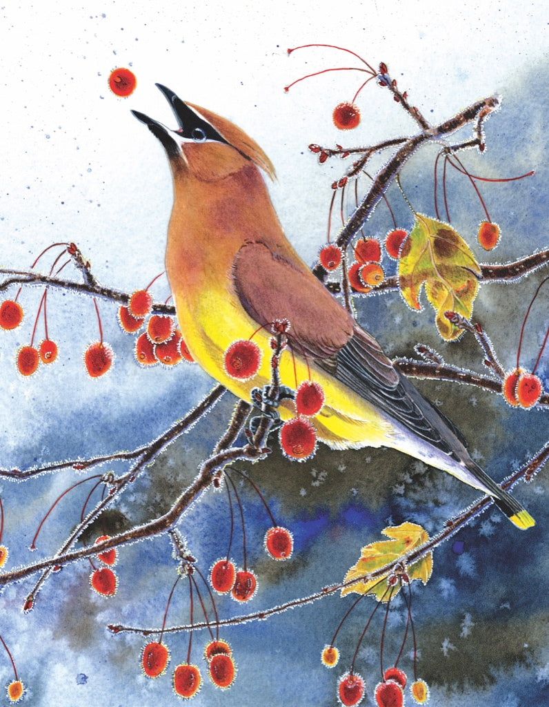 Cedar Waxwing Mini From New York Puzzle Company