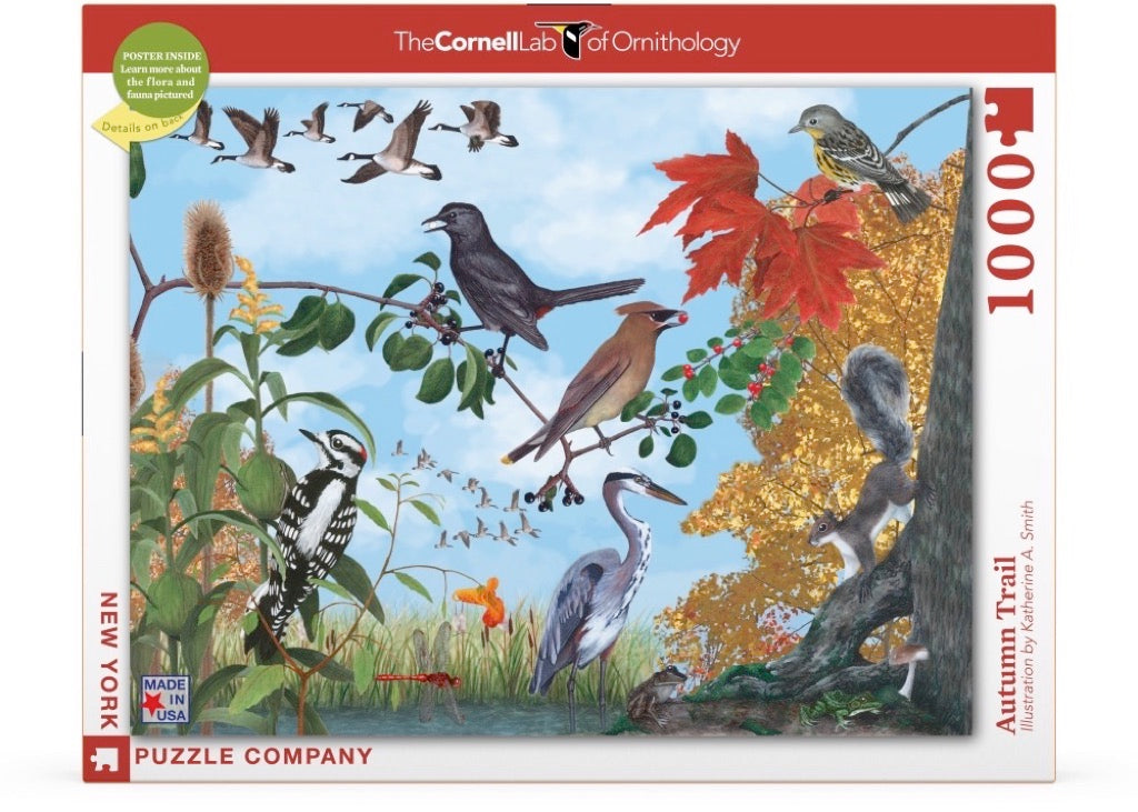 Autumn Trail from New York Puzzle Company