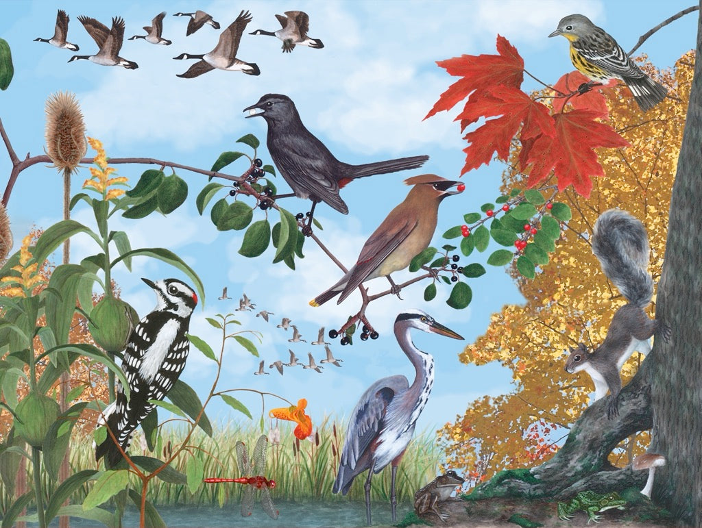 Autumn Trail from New York Puzzle Company