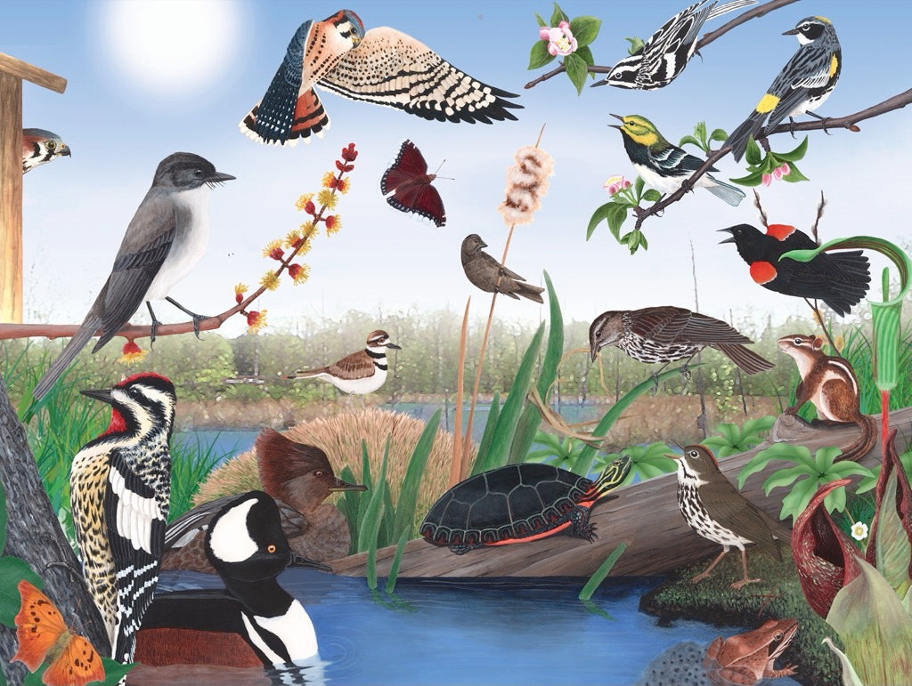 Spring Trail from New York Puzzle Company