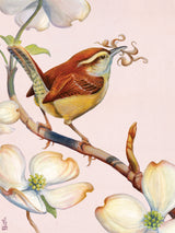 Carolina Wren From New York Puzzle Company