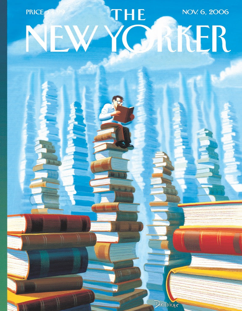 Bookopolis Mini From New York Puzzle Company