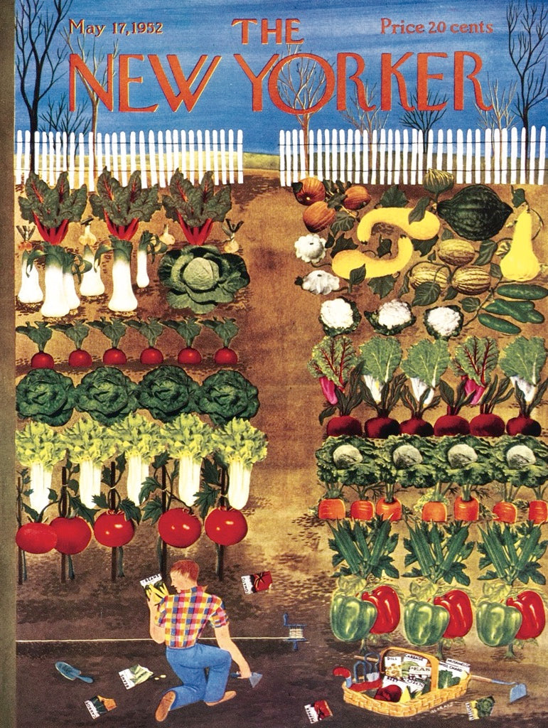 Vegetable Garden from New York Puzzle Company
