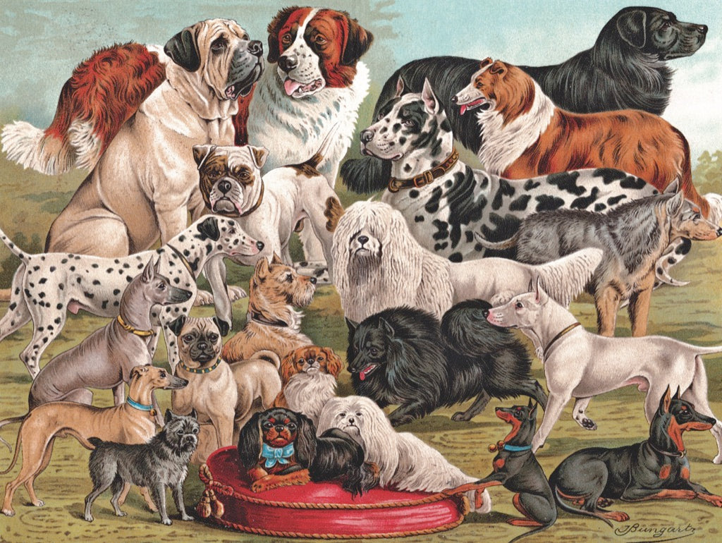 Dog Breeds From New York Puzzle Company