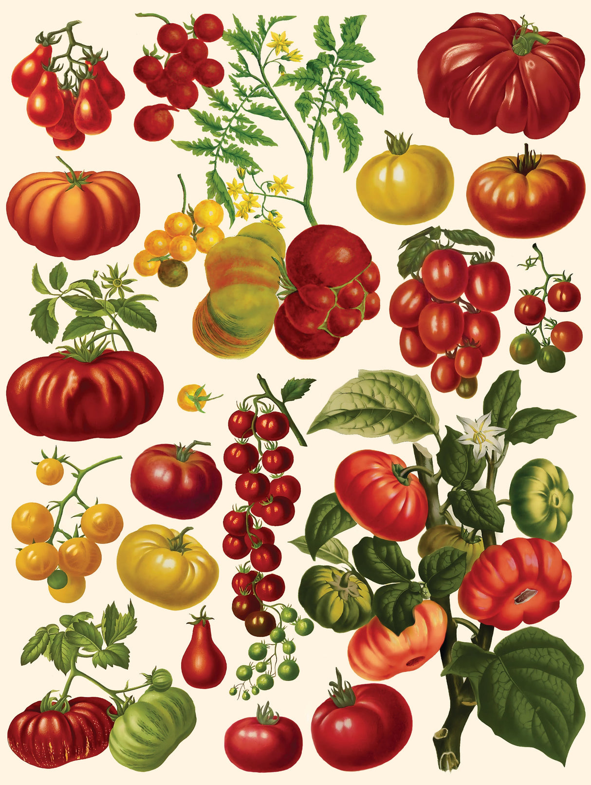 Tomatoes from New York Puzzle Company