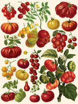 Tomatoes from New York Puzzle Company
