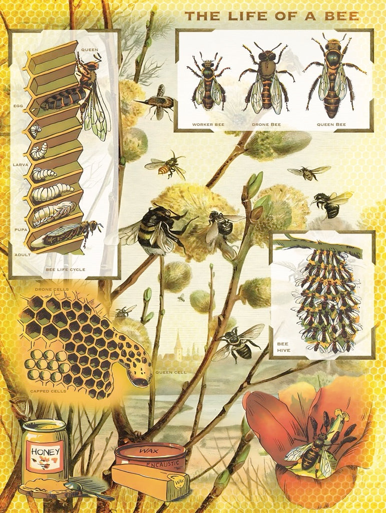 Bees & Honey From New York Puzzle Company