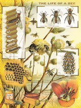 Bees & Honey From New York Puzzle Company