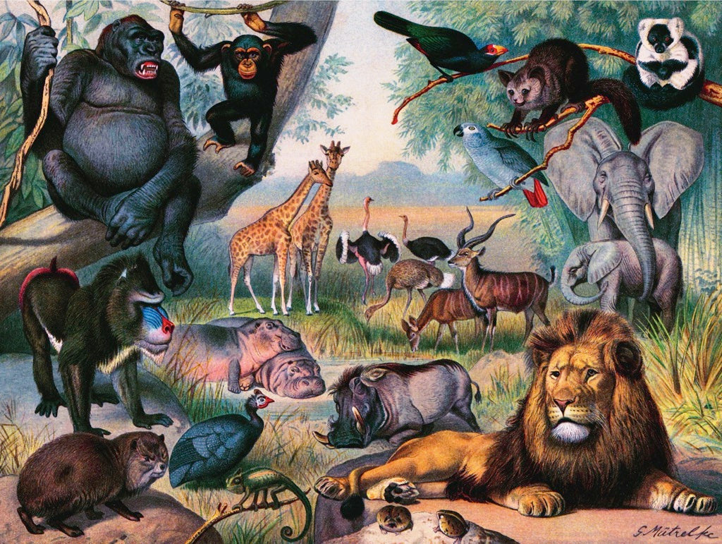 Animals of Africa from New York Puzzle Company