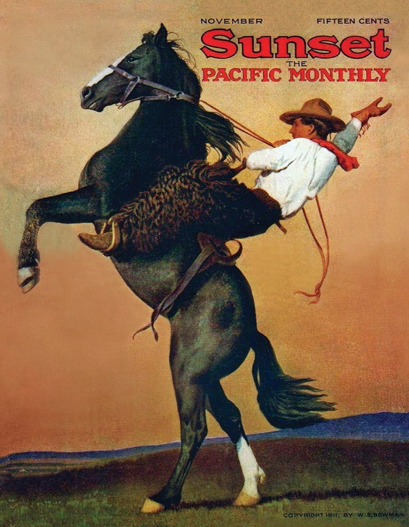 Bucking Bronco Mini from New York Puzzle Company