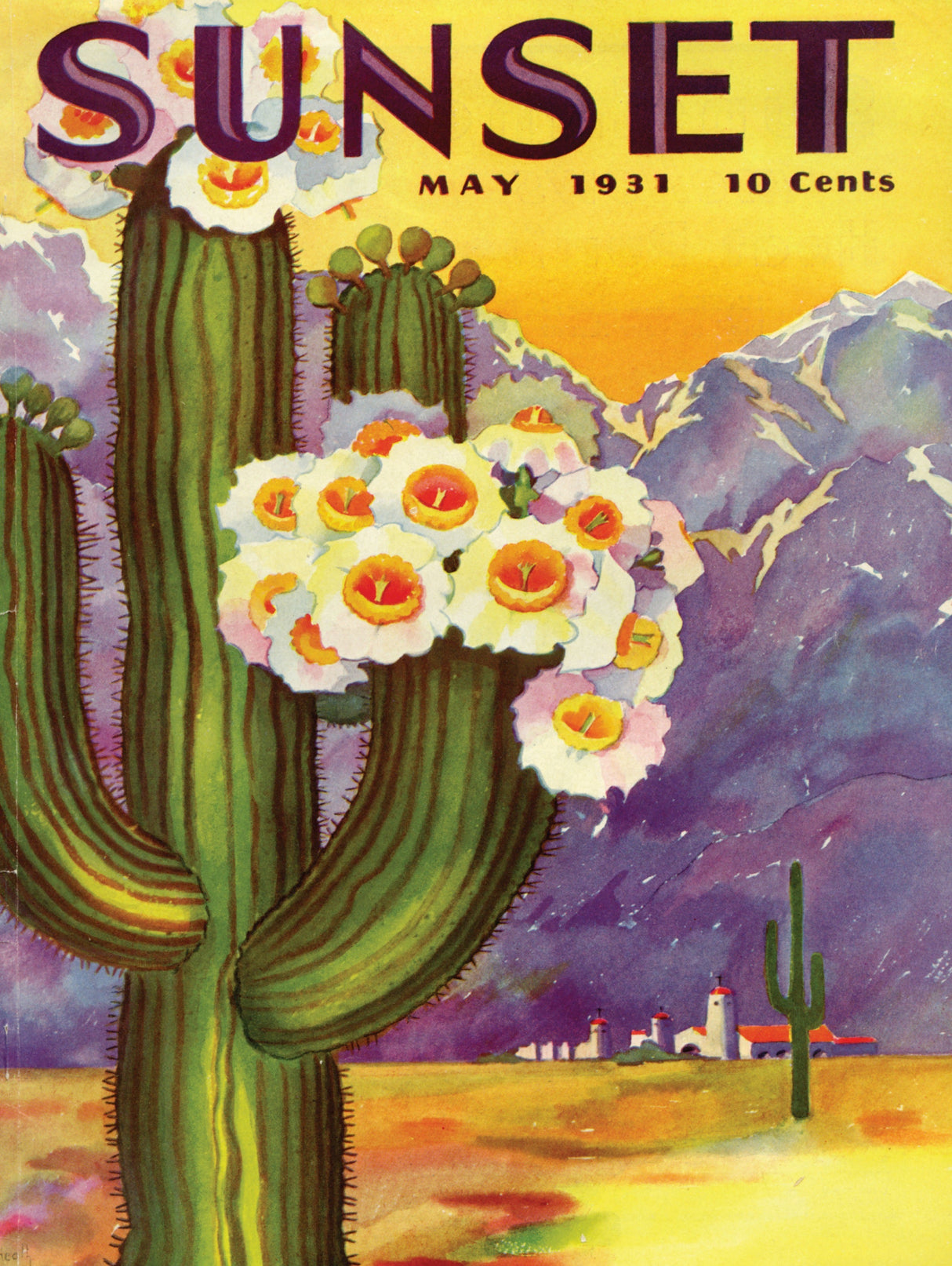 Cactus Blooms From New York Puzzle Company