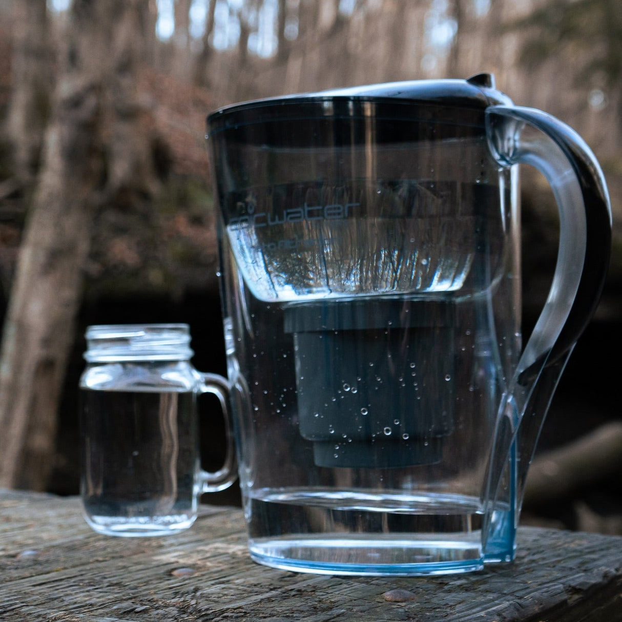 Nano Pitcher | Removes Bacteria & PFAS from Epic Water Filters USA