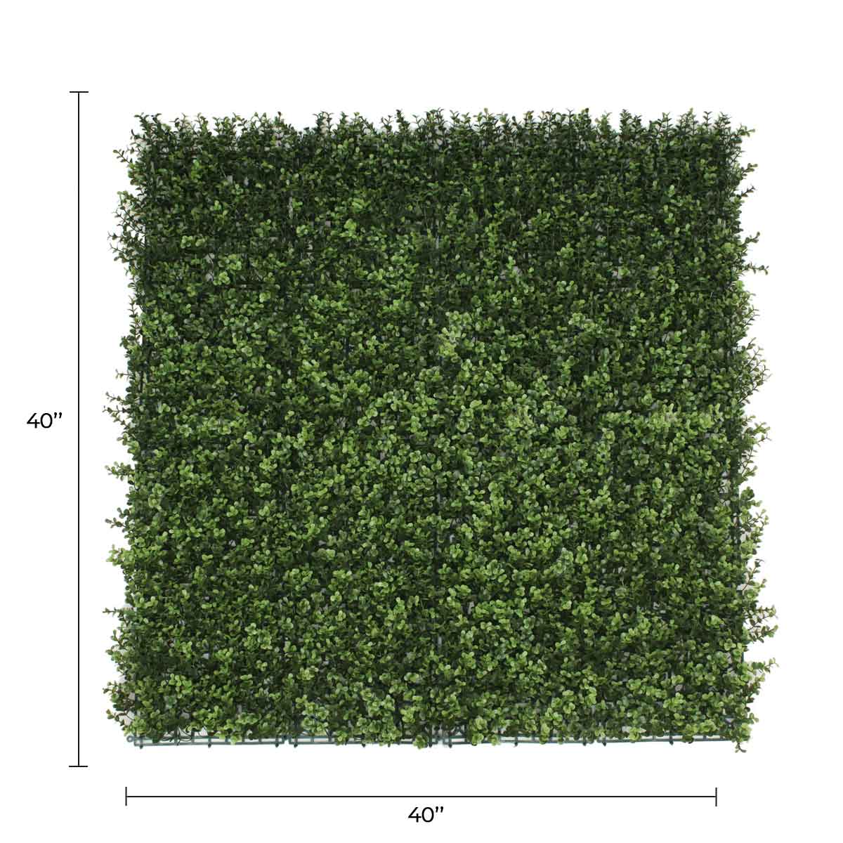Natural Artificial Boxwood Wall 40" x 40" 11SQ FT Commercial Grade UV Resistant from Designer Plants USA