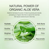 Aloe Clearing Cleanser from ALODERMA