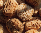Sea Wool Sponge from Firsthand Supply
