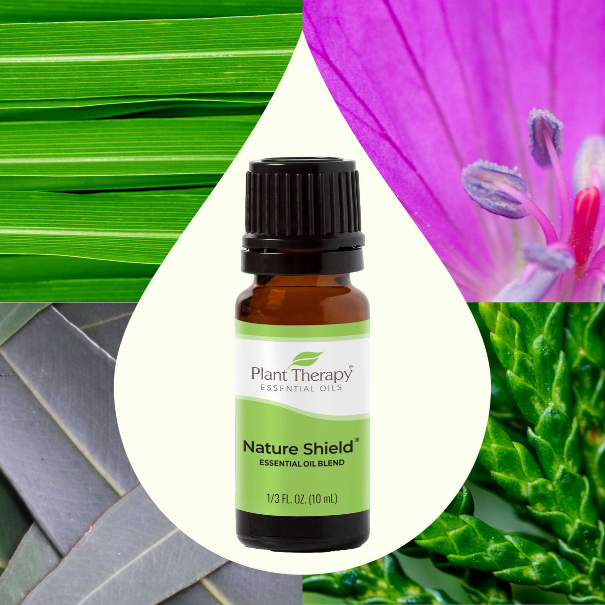 Nature Shield Essential Oil Blend from Plant Therapy