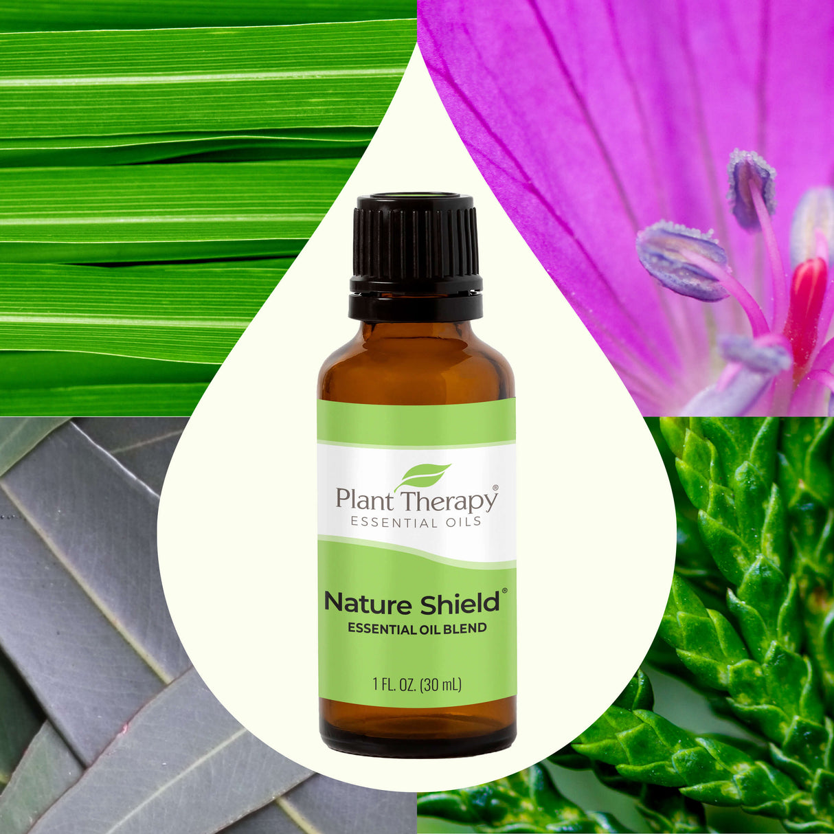 Nature Shield Essential Oil Blend from Plant Therapy