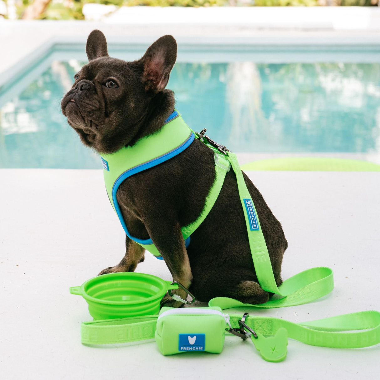Frenchie Comfort Leash - Neon Green from Frenchie Bulldog