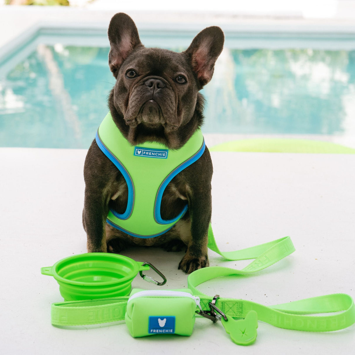 Frenchie Comfort Leash - Neon Green from Frenchie Bulldog