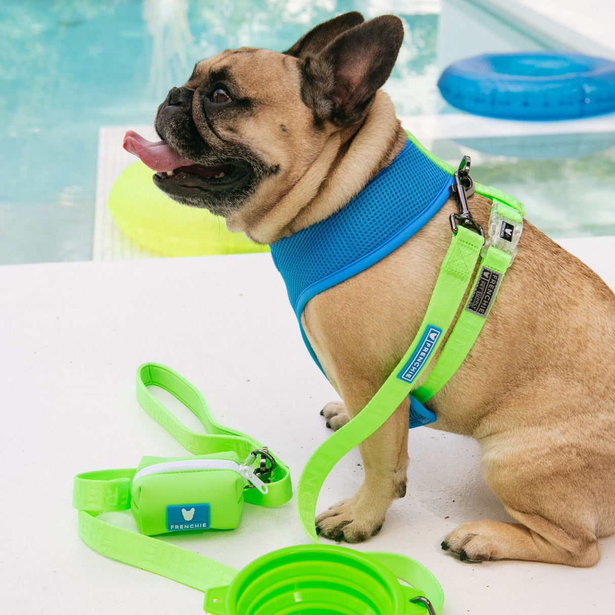 Frenchie Comfort Leash - Neon Green from Frenchie Bulldog