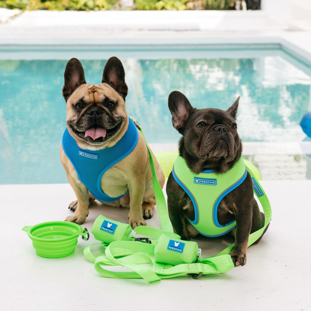 Frenchie Comfort Leash - Neon Green from Frenchie Bulldog