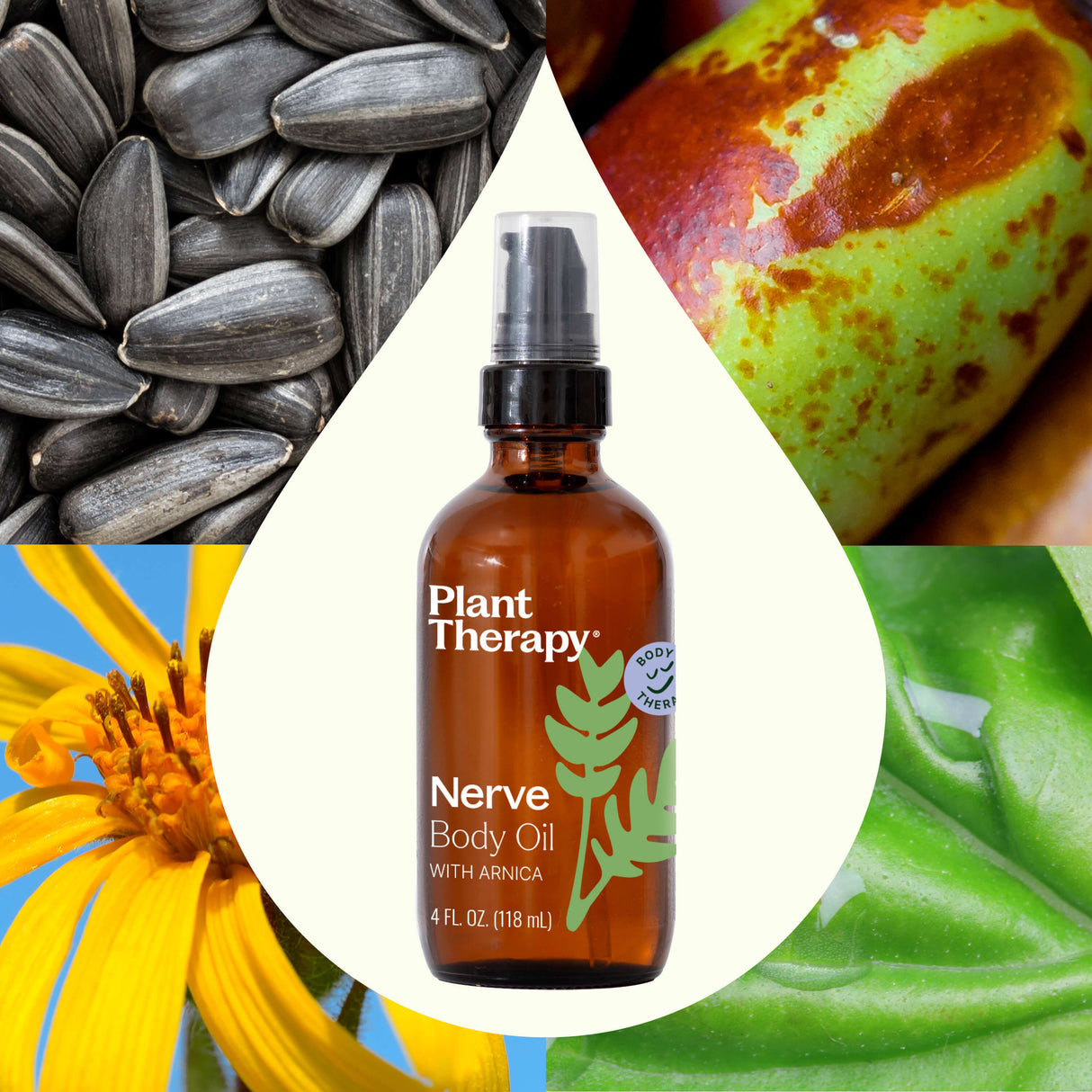 Nerve Body Oil with Arnica from Plant Therapy