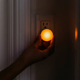 Night Lights From Loftie