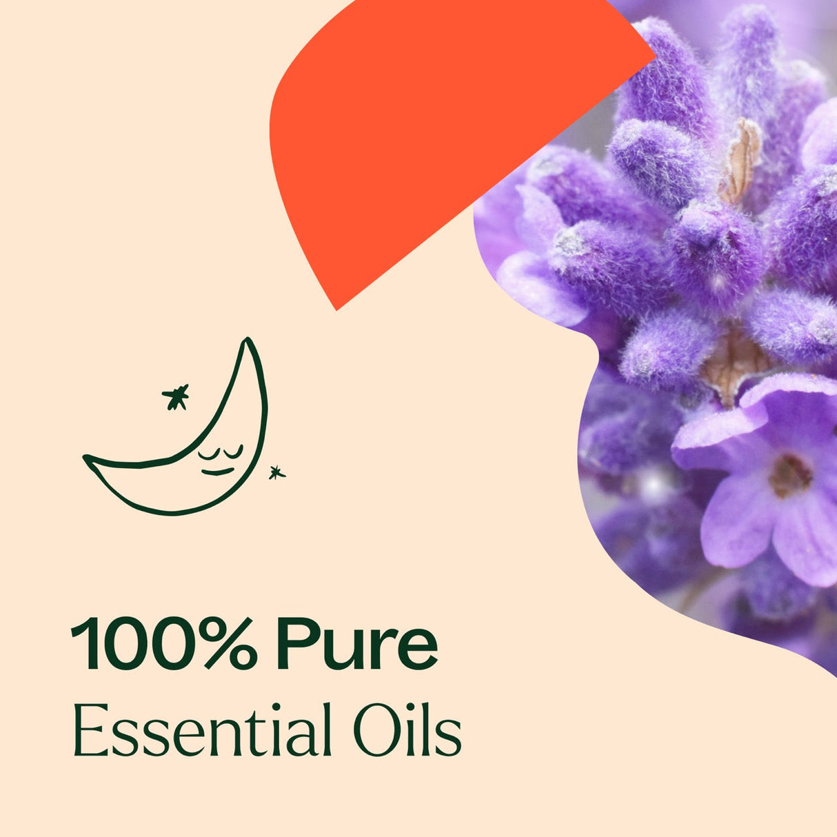 Nighty Night KidSafe Essential Oil from Plant Therapy