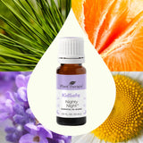 Nighty Night KidSafe Essential Oil from Plant Therapy