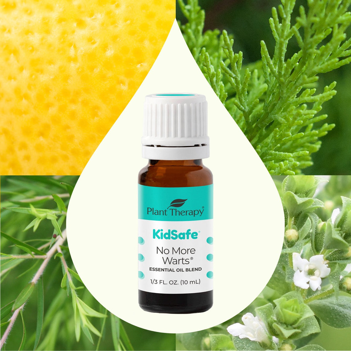 No More Warts KidSafe Essential Oil from Plant Therapy