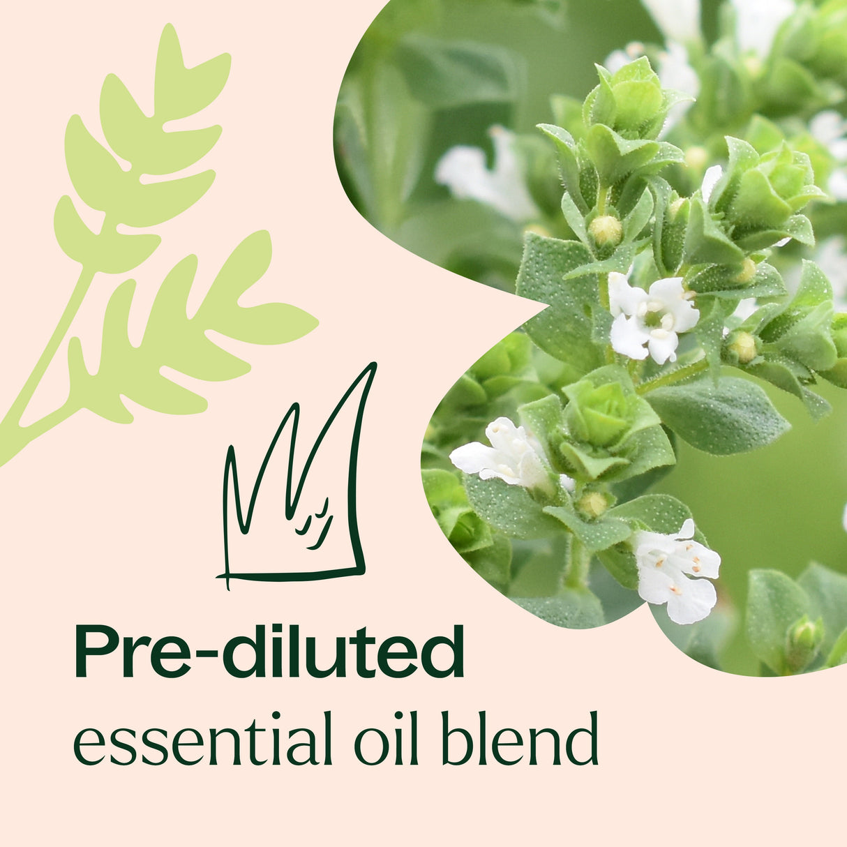 No More Warts KidSafe Essential Oil Pre-Diluted Roll-On from Plant Therapy