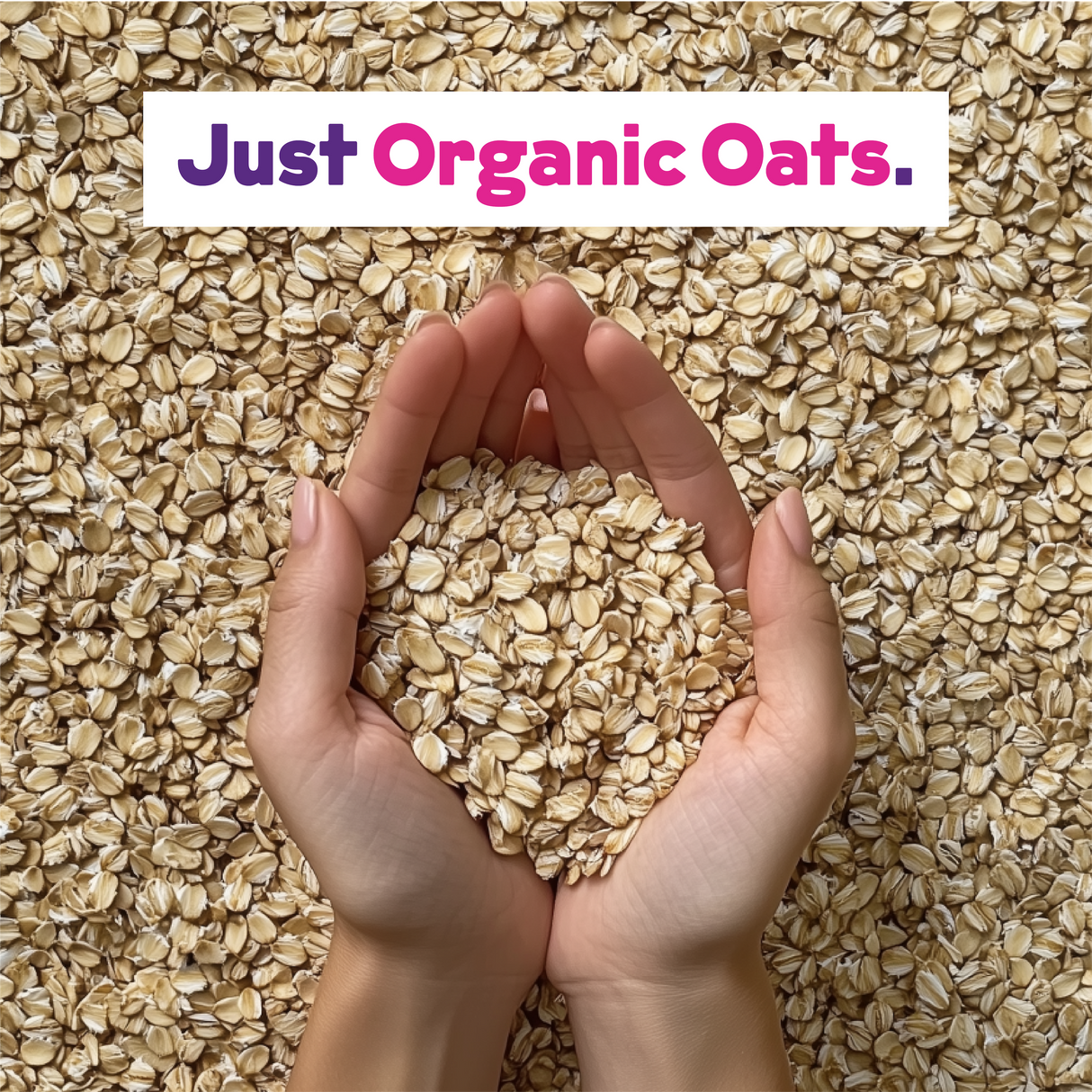 Organic Oat Milk Powder 2-Pack From JOI