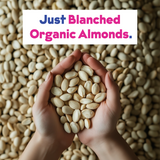 Organic Almond Milk Base 2-Pack From JOI