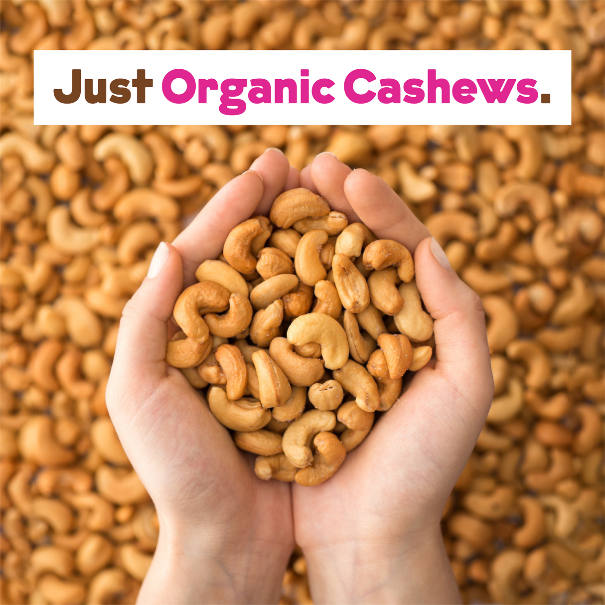 Organic Cashew Milk Base - Bulk From JOI