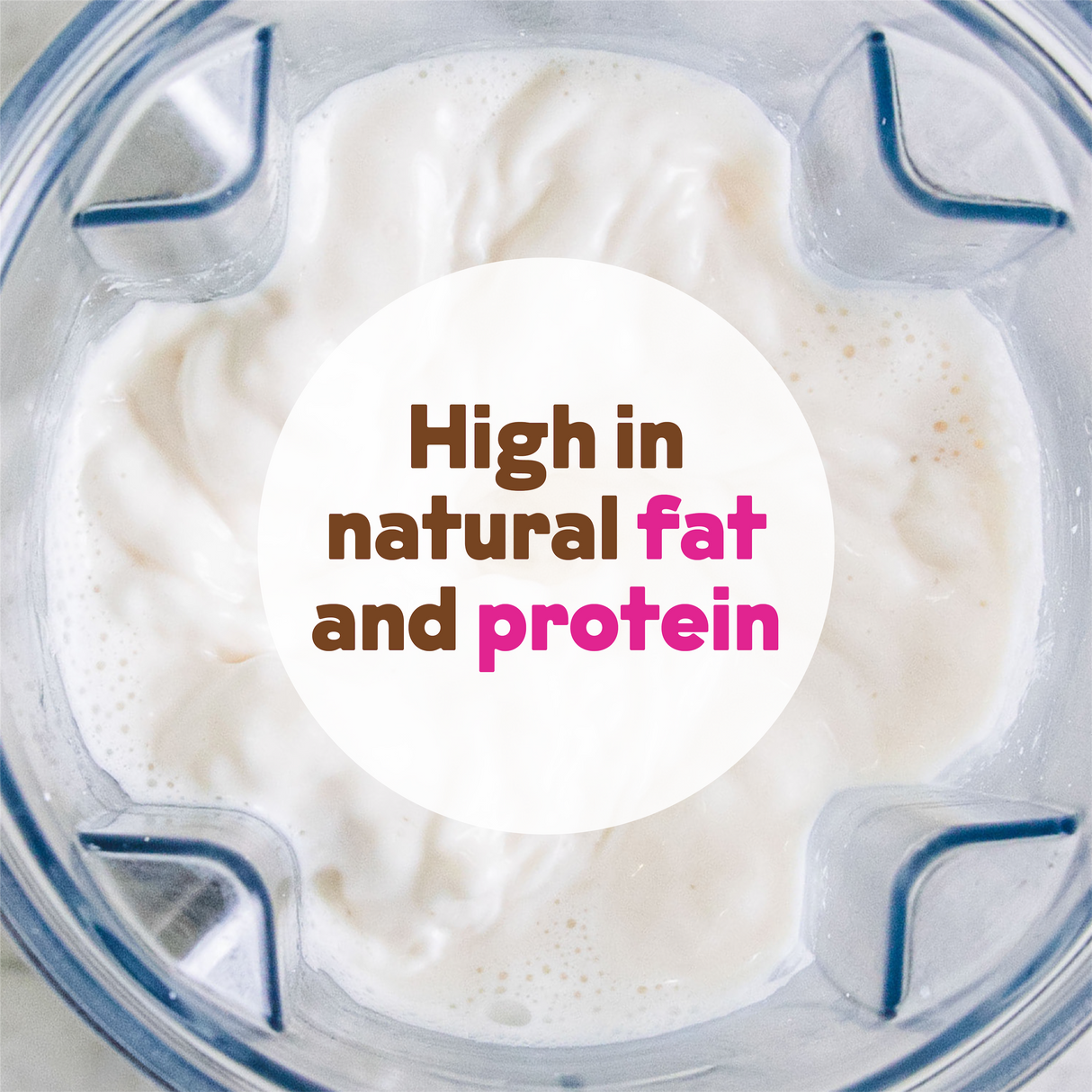 Organic Cashew Milk Base From JOI