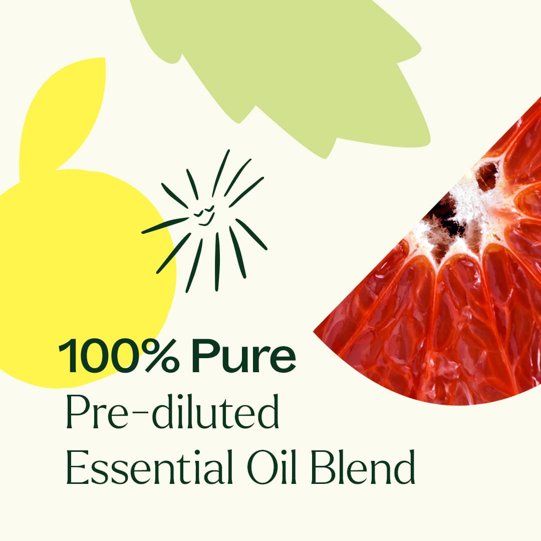 One & All Pre-Diluted Essential Oil Roll-On Blend 10 mL from Plant Therapy