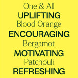 One & All Pre-Diluted Essential Oil Roll-On Blend 10 mL from Plant Therapy