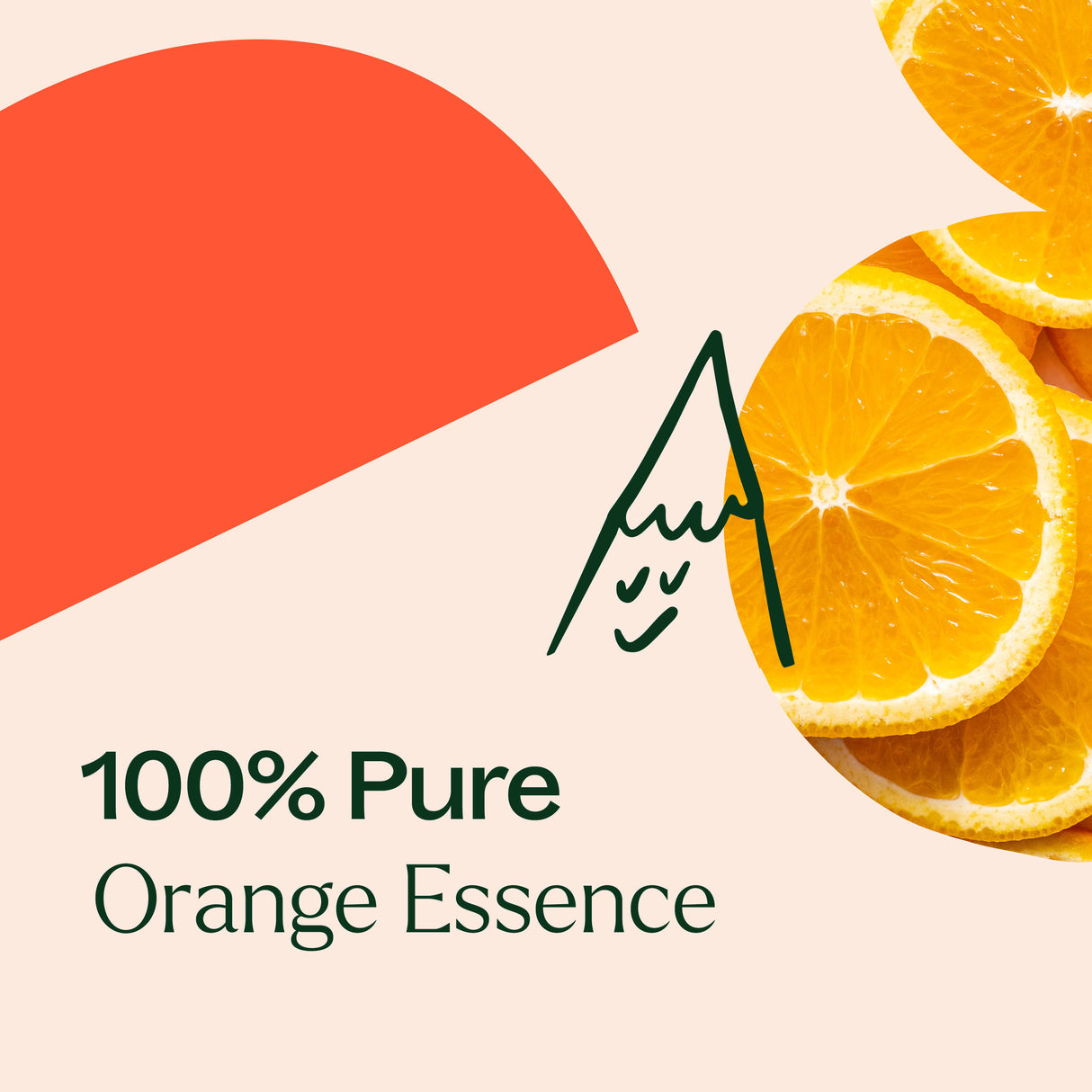 Orange Essence Oil from Plant Therapy