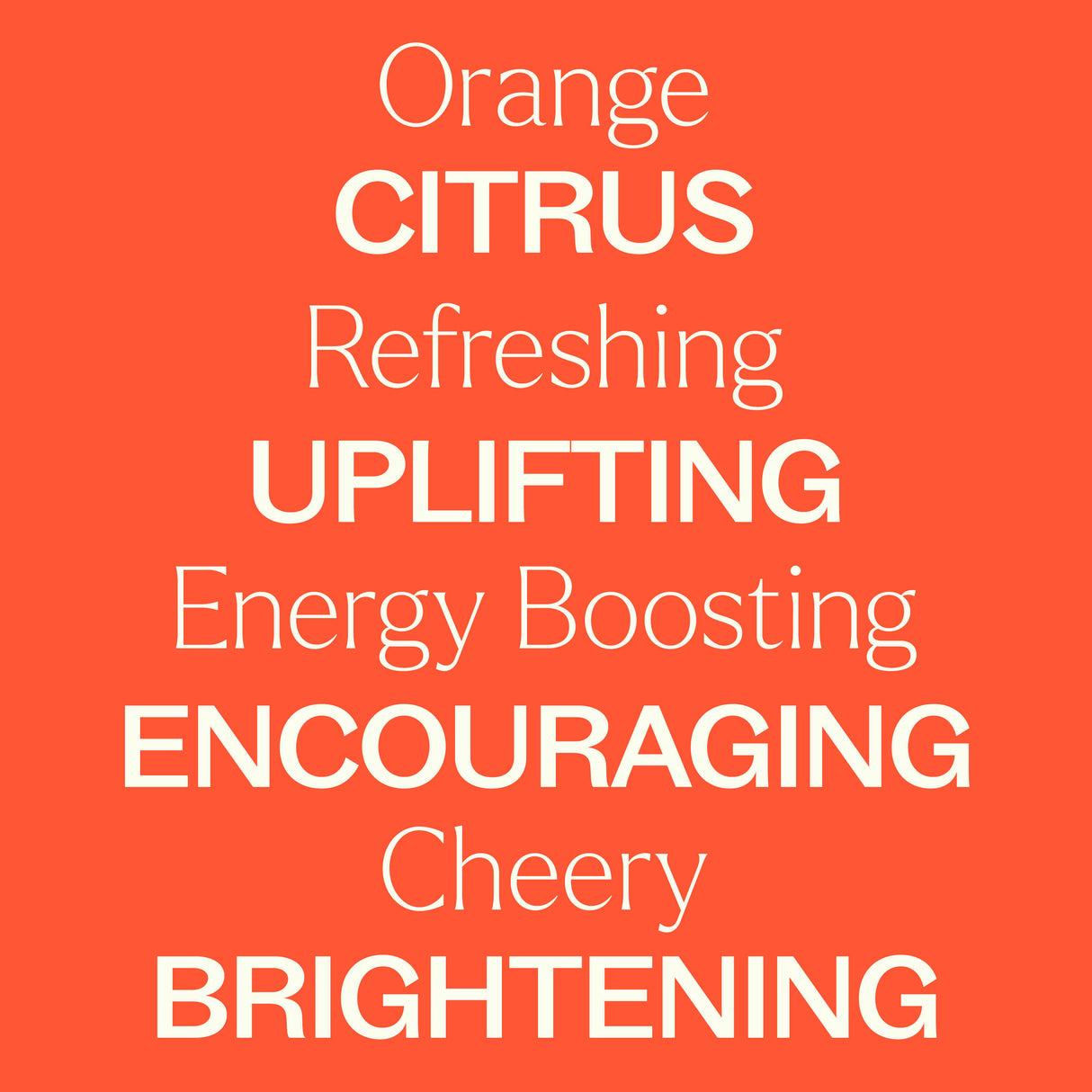 Orange Essence Oil from Plant Therapy