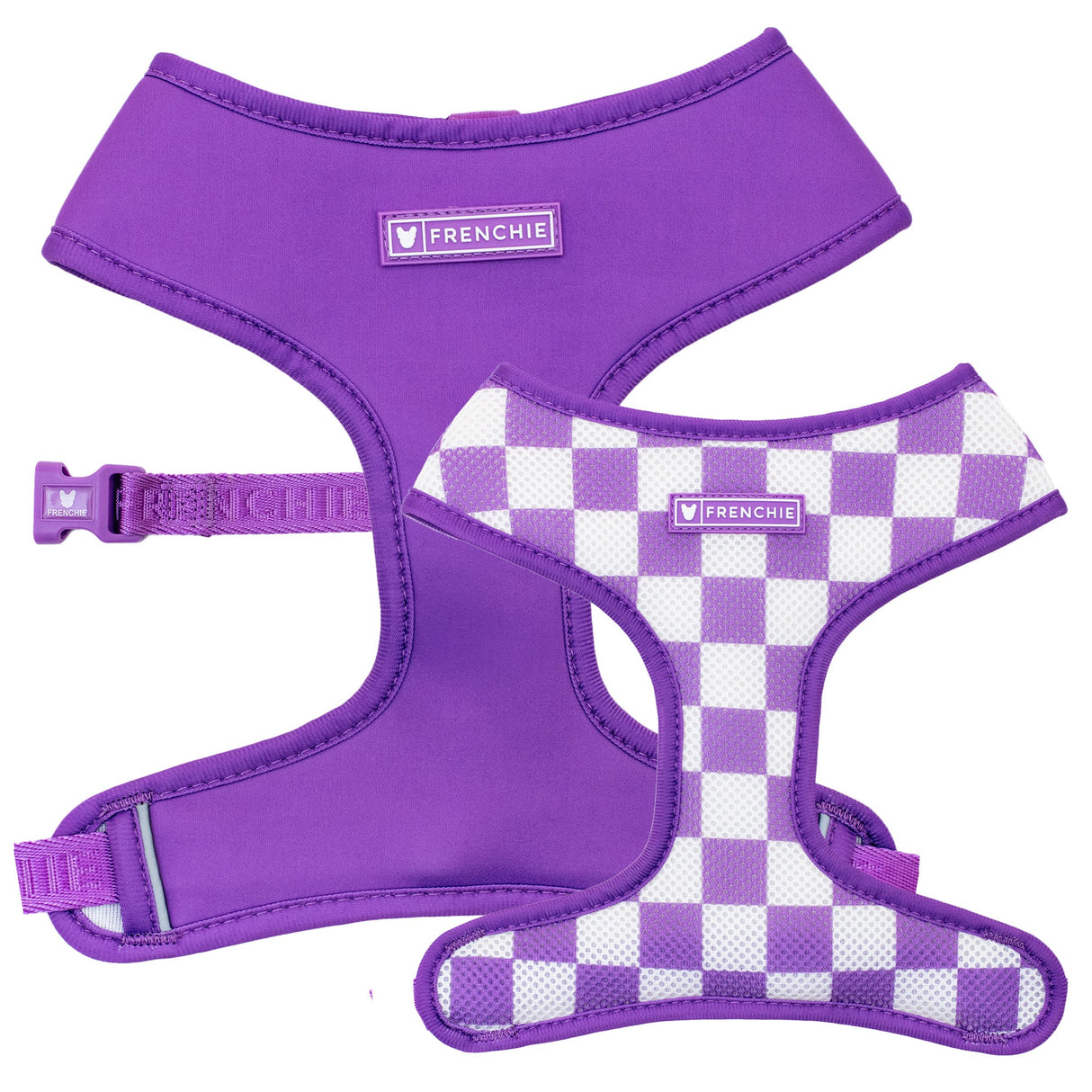 Frenchie Duo Reversible Harness - LA Purple from Frenchie Bulldog