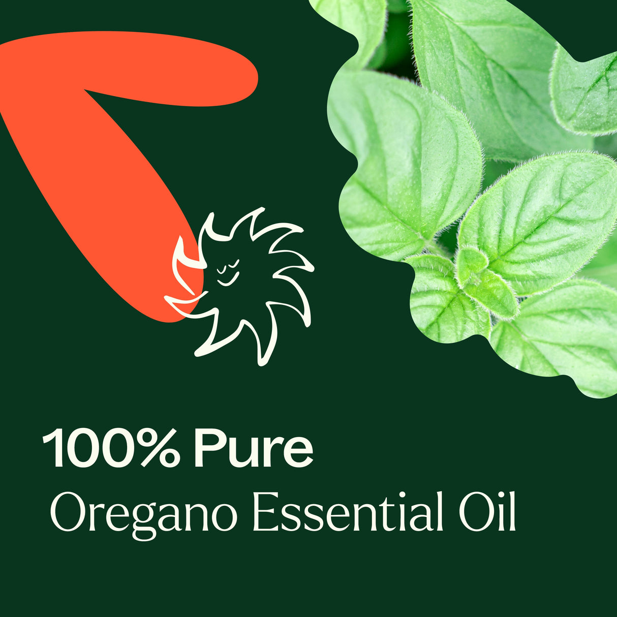 Oregano Essential Oil from Plant Therapy