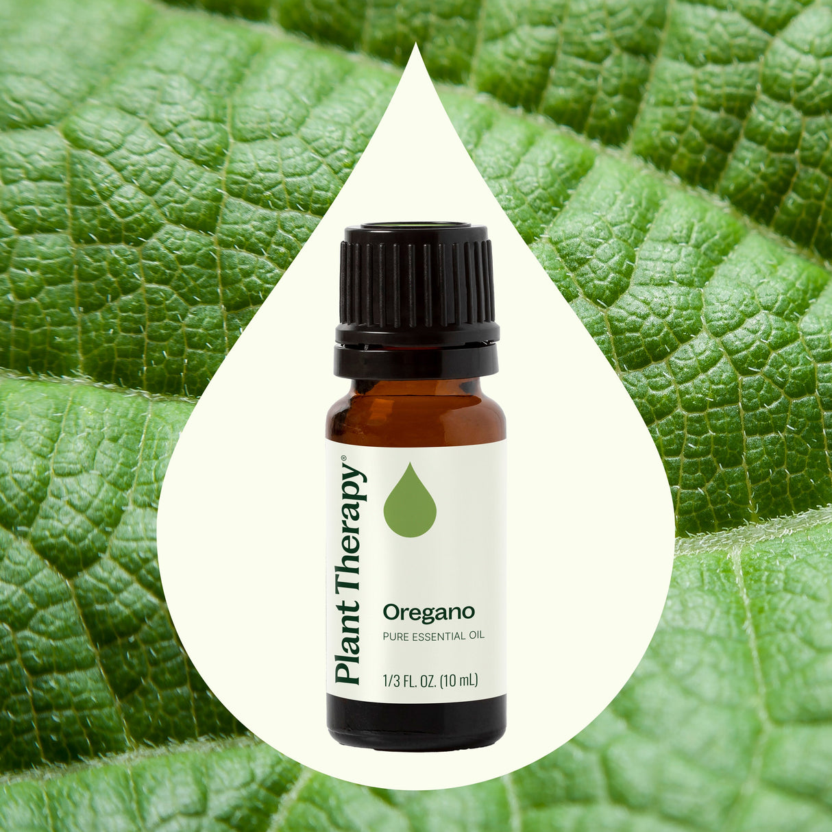 Oregano Essential Oil from Plant Therapy