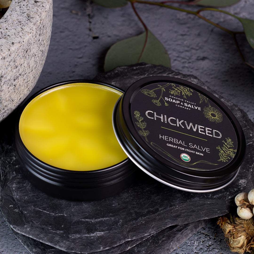 Salve: Chickweed From Chagrin Valley Soap & Salve